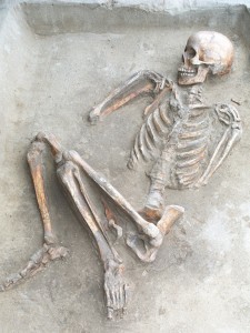 Click to zoom the picture.